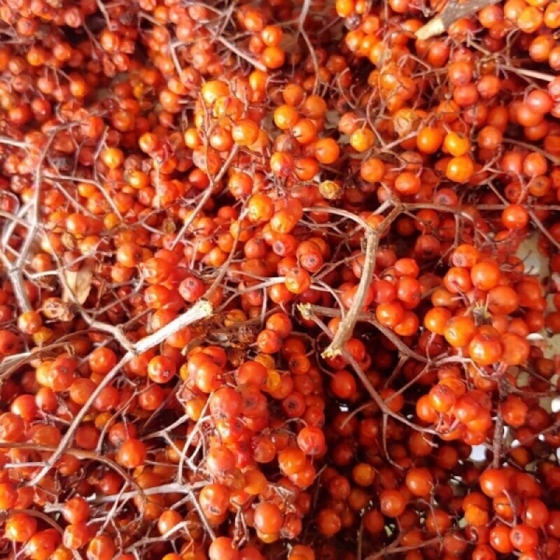 마가팜,정선 마가목 열매 추출 마가목